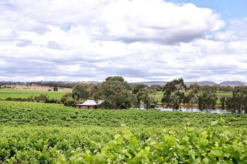 ストーンウェル コテージス アンド ビネヤーズ Barossa Valley エクステリア 写真